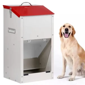 Galvanized Automatic Dog Feeder