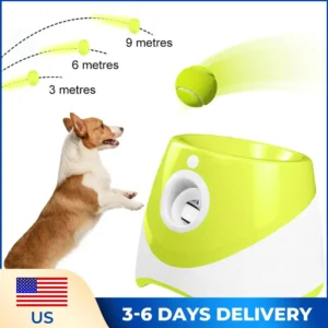 Automatic Pet Dogs Chase